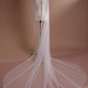 Cathedral Length Wedding Veil with Lace Trim